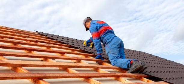 Best Skylight Installation and Repair  in Montecito, CA